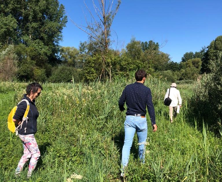 Vor Ort: Besichtigung Ried